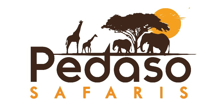 Pedaso Safaris