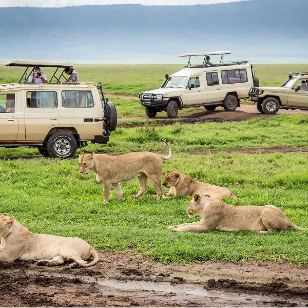 4 DAYS EXPLORATION PRIVATE SAFARIS