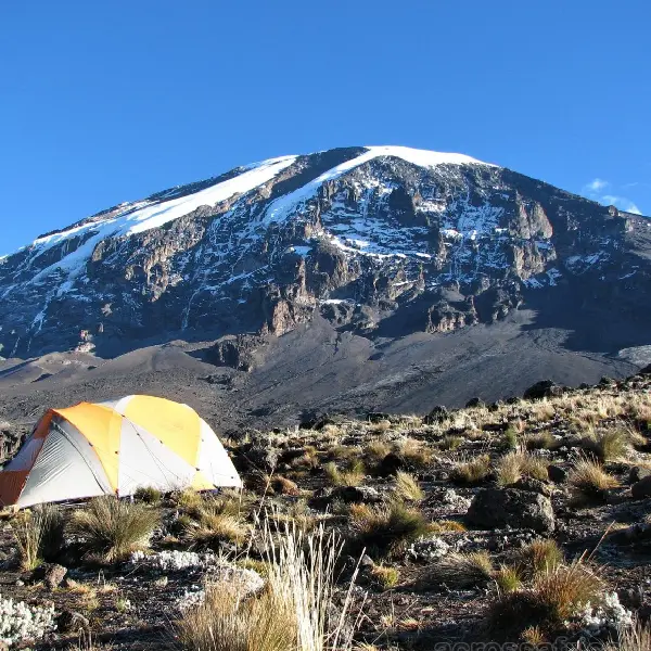 8 DAYS RONGAI ROUTE TREK – MOUNT KILIMANJARO