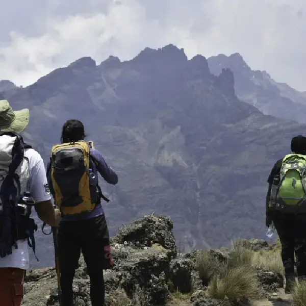 4 DAYS MOUNT KENYA HIKING – OLD MOSES CAMP SIRIMON DOWN SIRIMON.