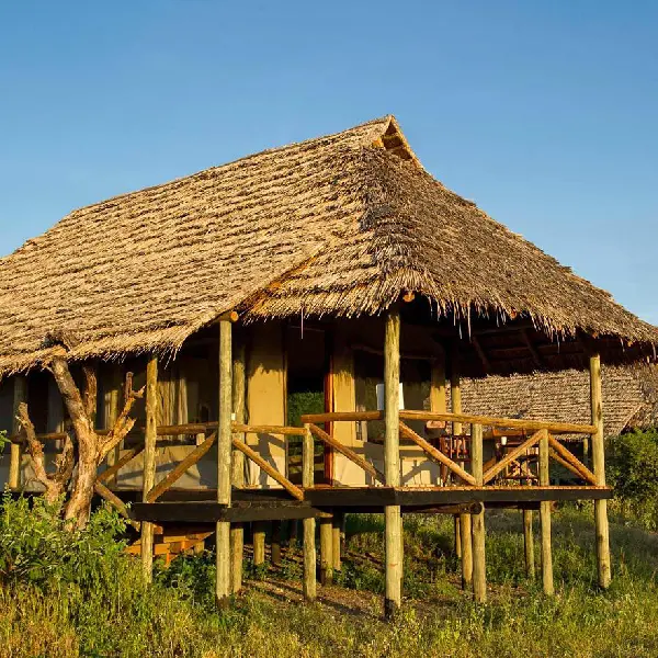 13 DAYS KENYA & TANZANIA LODGE SAFARI PARKS