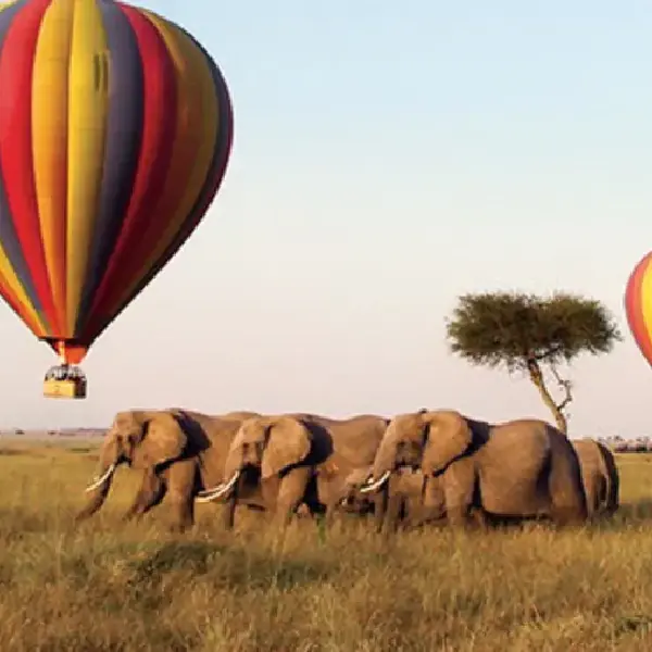 12 DAYS COMBINED KENYA AND TANZANIA ADVENTURE