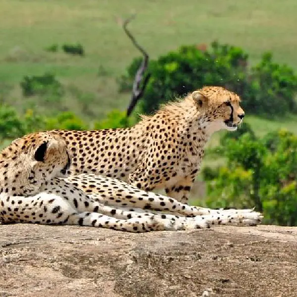 07 DAYS KENYA EXPEDITION PRIVATE