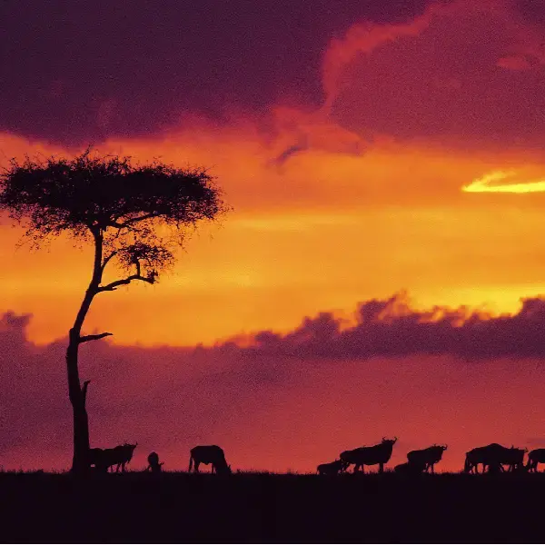 05 DAYS PRIVATE ADVENTURE SAFARI: