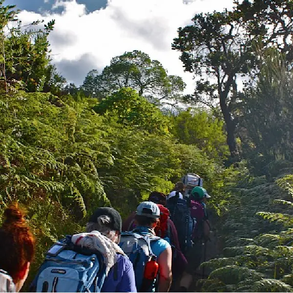 8 DAYS RONGAI ROUTE TREK – MOUNT KILIMANJARO