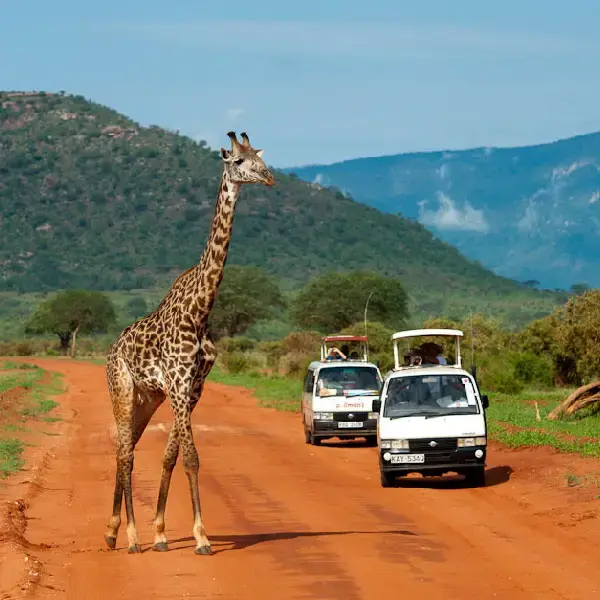 3 DAY TSAVO WEST/TSAVO EAST PRIVATE SAFARI