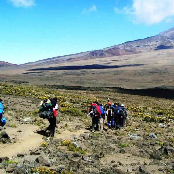 8 DAYS RONGAI ROUTE TREK – MOUNT KILIMANJARO