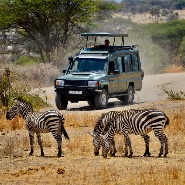 10 DAYS SAFARI & ZANZIBAR BEACH