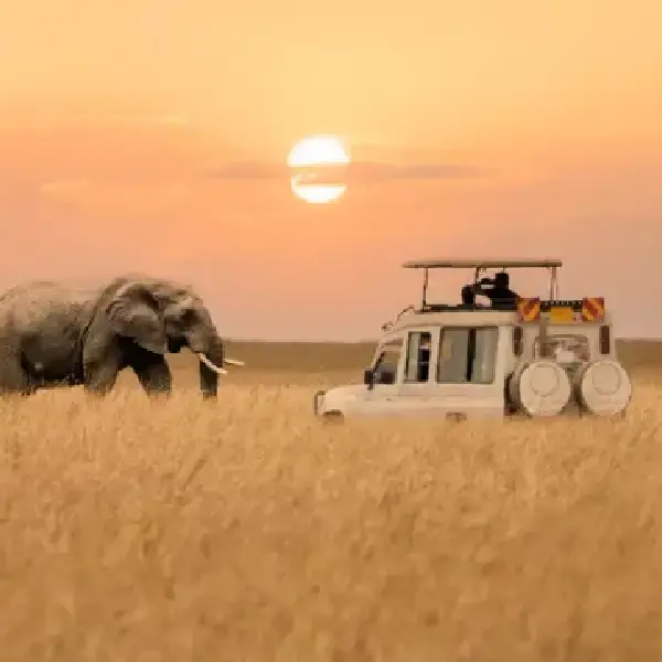 05 DAYS PRIVATE ADVENTURE SAFARI: