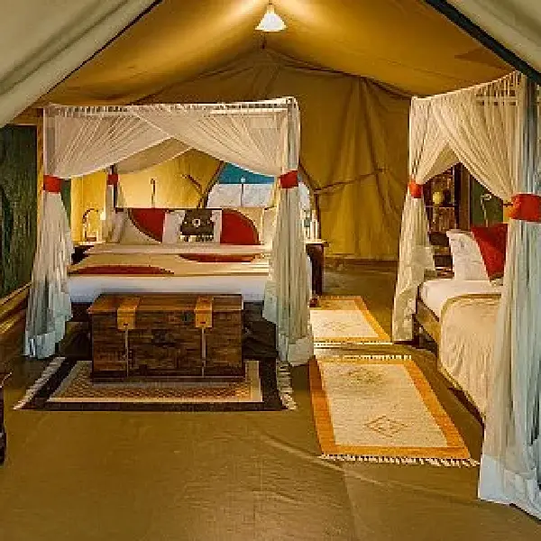 13 DAYS KENYA & TANZANIA LODGE SAFARI PARKS