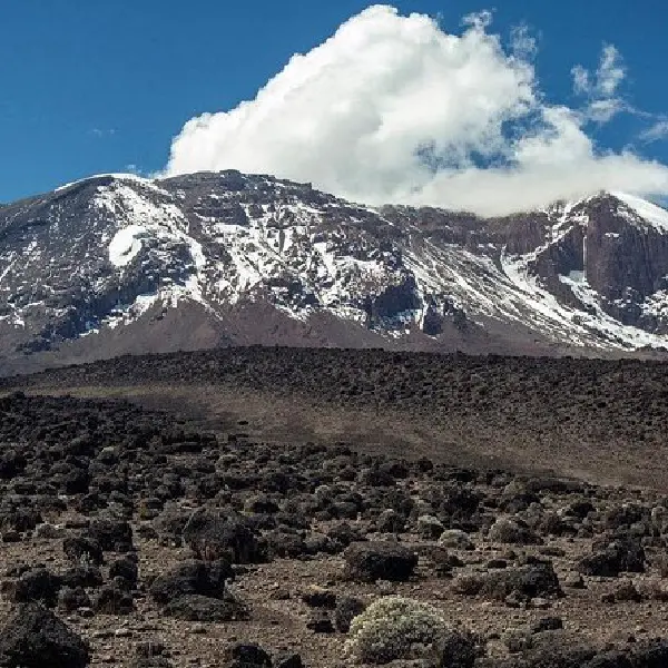 6 DAYS MT. KILIMANJARO TREKKING (MACHAME ROUTE)
