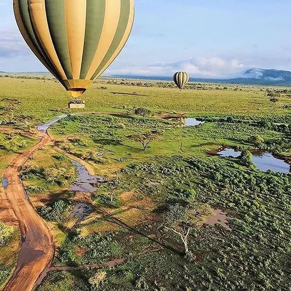 7 DAYS MASAI MARA, NAKURU,NAIVASHA AND AMBOSELI BUDGET SAFARI