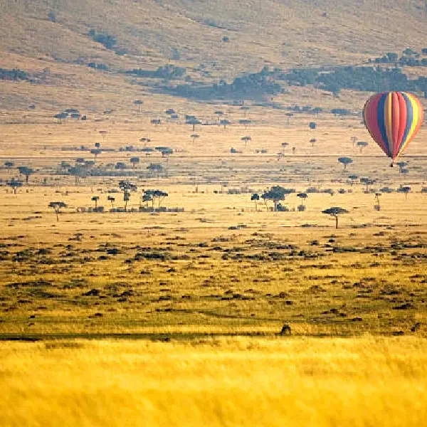 11 DAYS KENYA AND TANZANIA LODGE TOURS