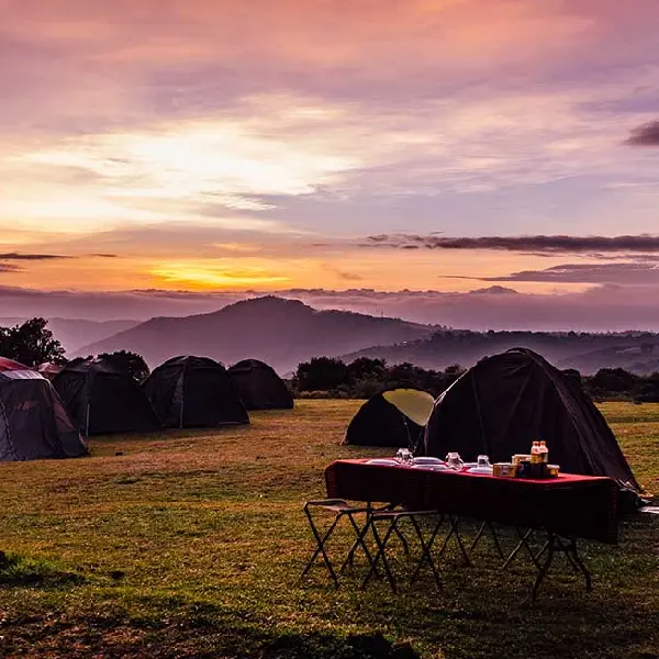6 DAYS BUDGET CAMPING SAFARI