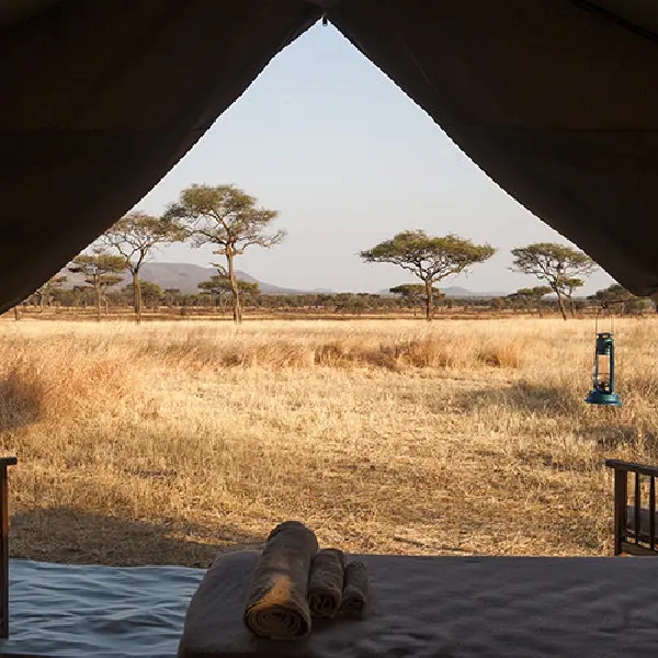 6 DAYS LUXURY TENTED LODGE SAFARI