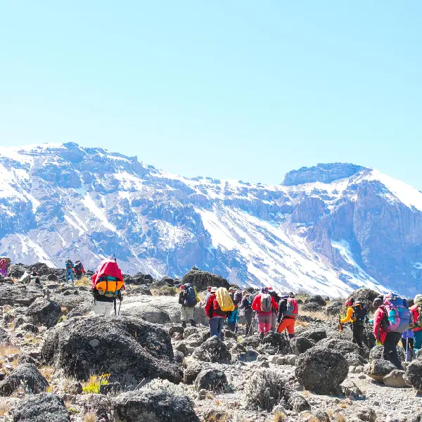 8 DAYS RONGAI ROUTE TREK – MOUNT KILIMANJARO