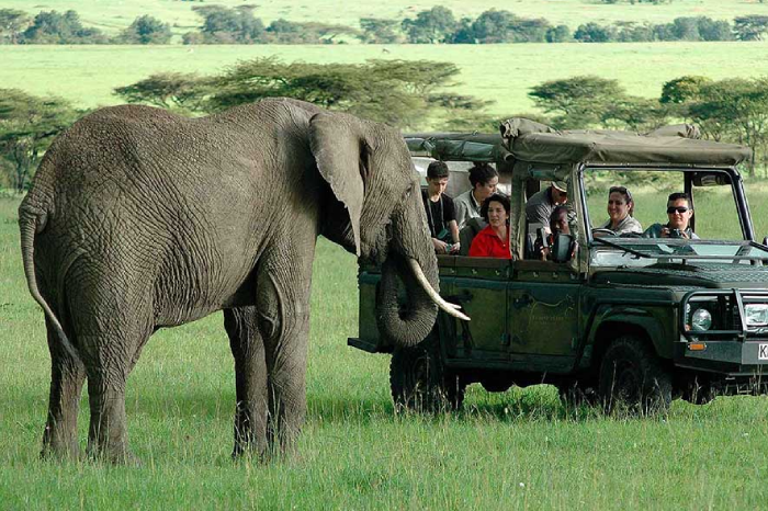 2-Day Masai Mara Overnight Getaway